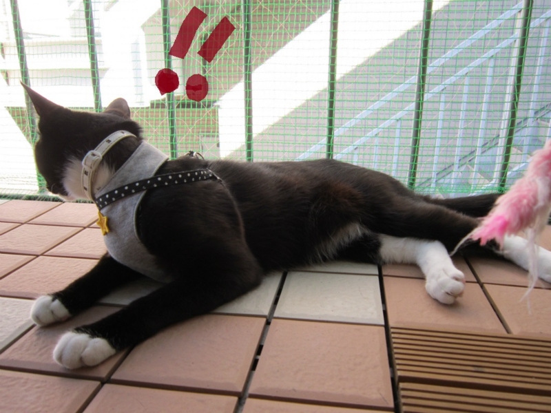 f:id:gosaku13:20131020202832j:image