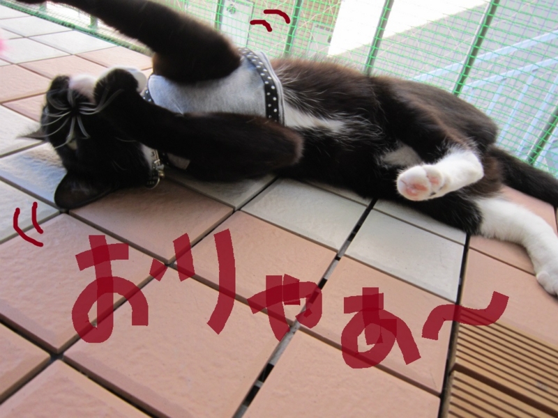 f:id:gosaku13:20131020202834j:image