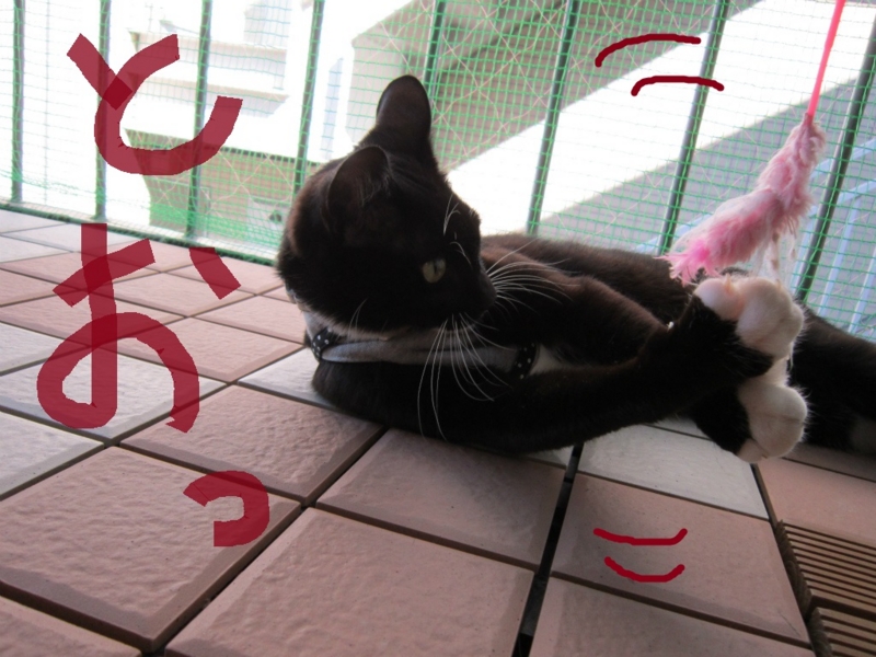 f:id:gosaku13:20131020202836j:image