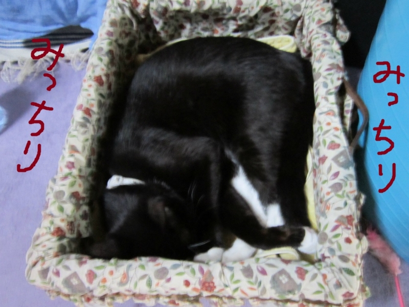 f:id:gosaku13:20131020203408j:image