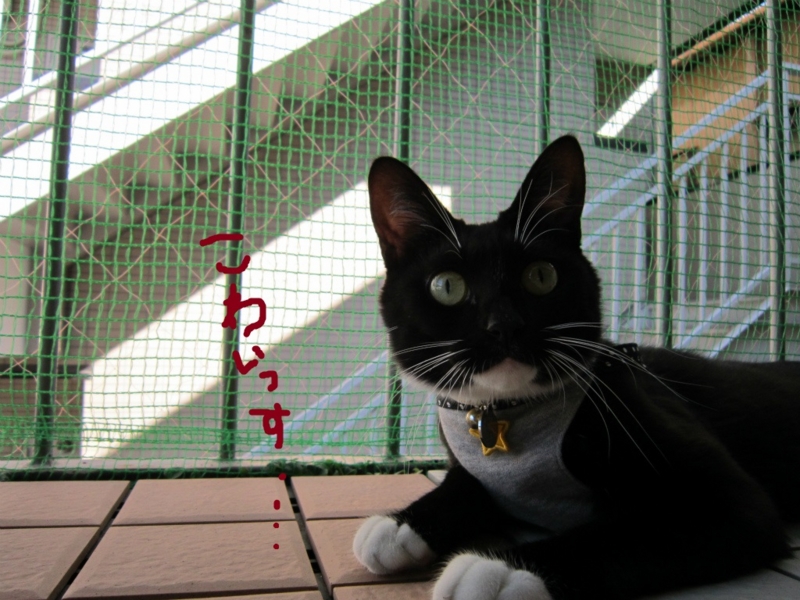 f:id:gosaku13:20131020203410j:image