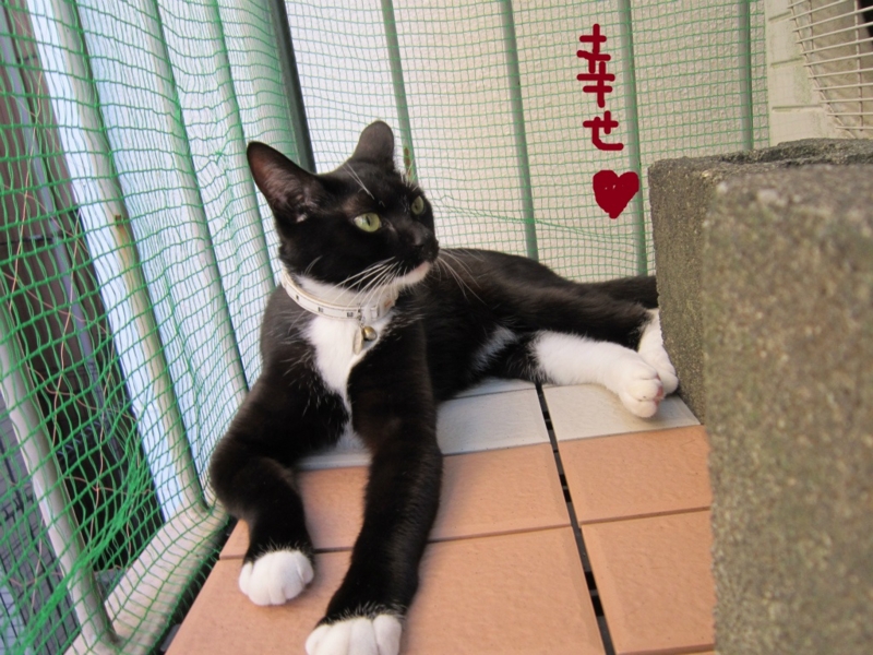 f:id:gosaku13:20131021203458j:image