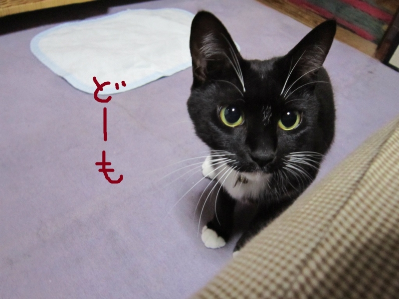 f:id:gosaku13:20131021203507j:image