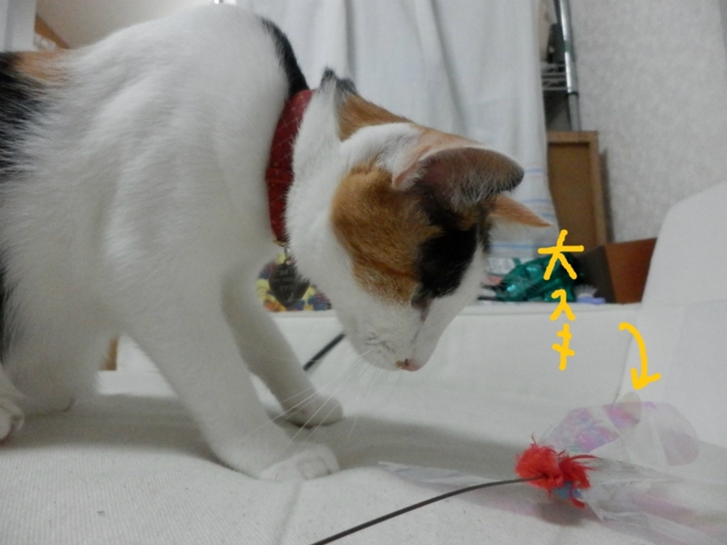 f:id:gosaku13:20131028092514j:image