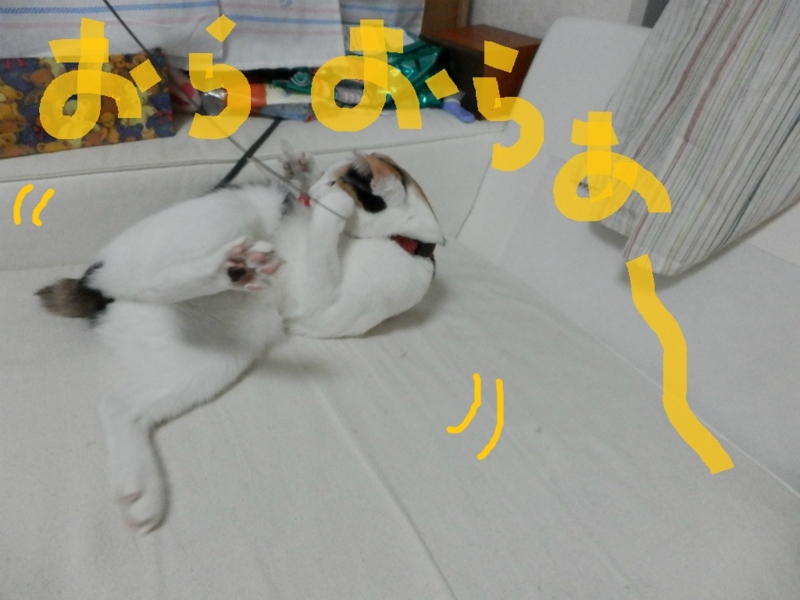 f:id:gosaku13:20131028092517j:image