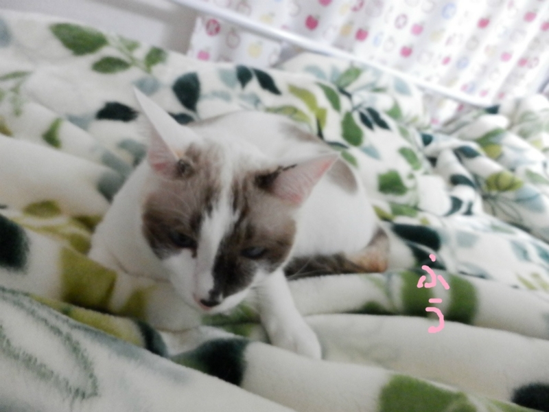 f:id:gosaku13:20131030170830j:image