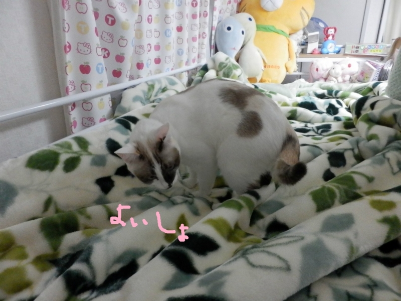 f:id:gosaku13:20131030170831j:image