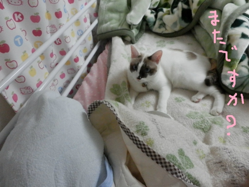 f:id:gosaku13:20131030170837j:image