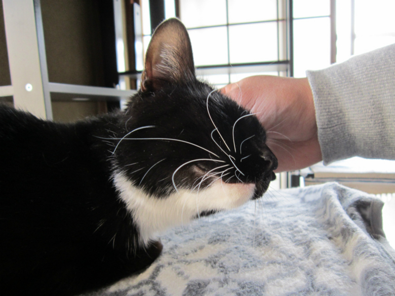 f:id:gosaku13:20140411122148j:image