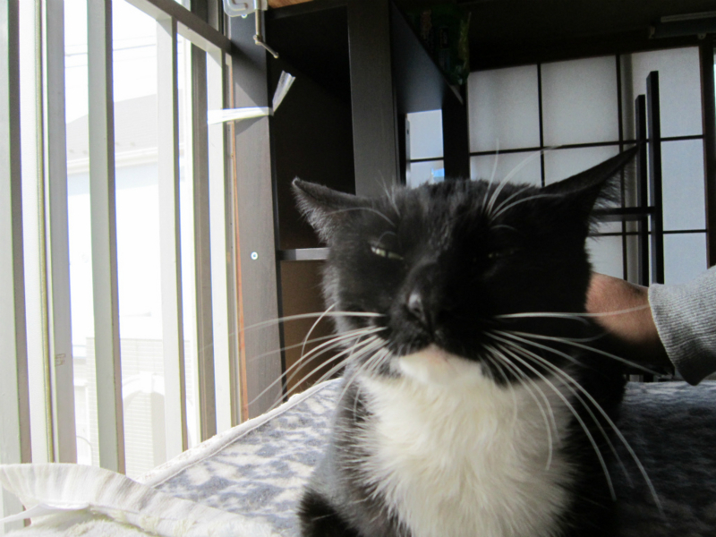 f:id:gosaku13:20140411122153j:image