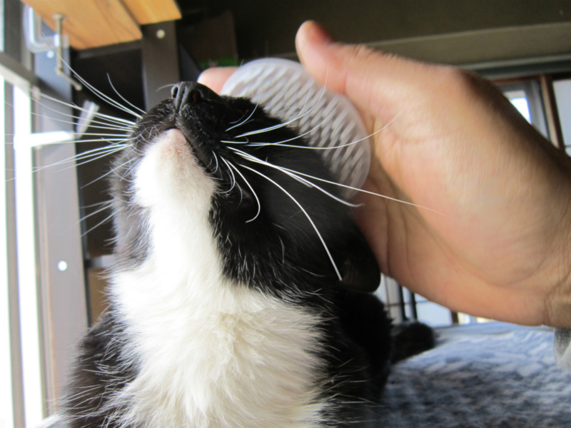 f:id:gosaku13:20140411122157j:image