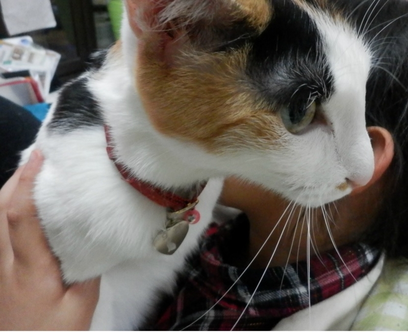 f:id:gosaku13:20140420210356j:image