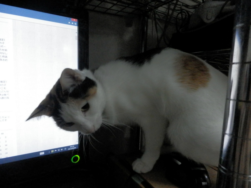 f:id:gosaku13:20140508152243j:image