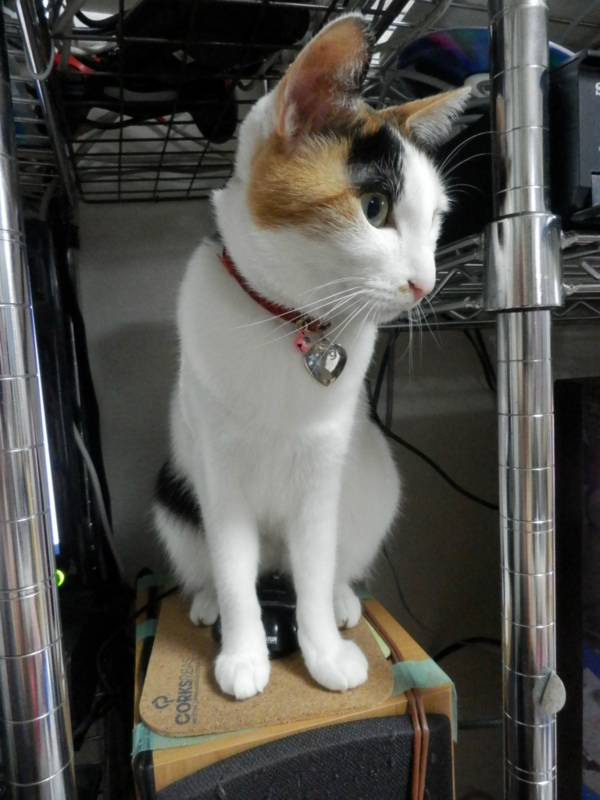 f:id:gosaku13:20140508152248j:image