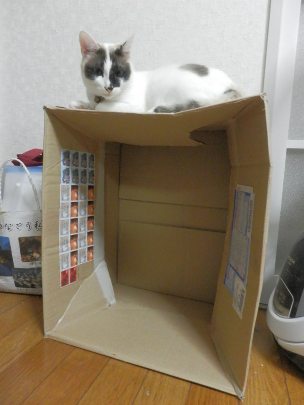 f:id:gosaku13:20140517185759j:image