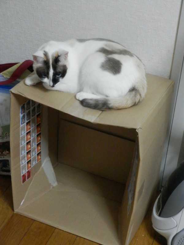 f:id:gosaku13:20140517185803j:image