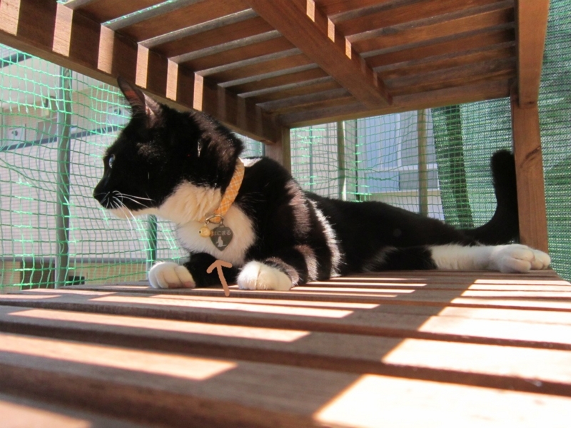 f:id:gosaku13:20140518114423j:image