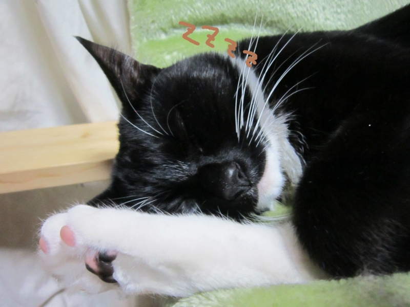 f:id:gosaku13:20140518114424j:image