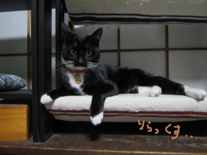 f:id:gosaku13:20140518114427j:image