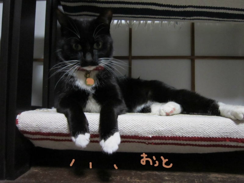 f:id:gosaku13:20140518114429j:image