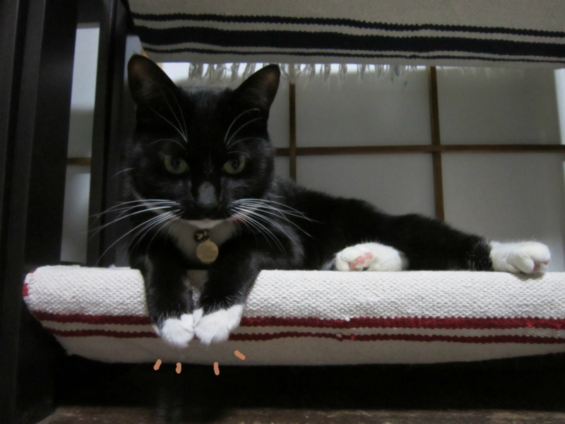 f:id:gosaku13:20140518114430j:image