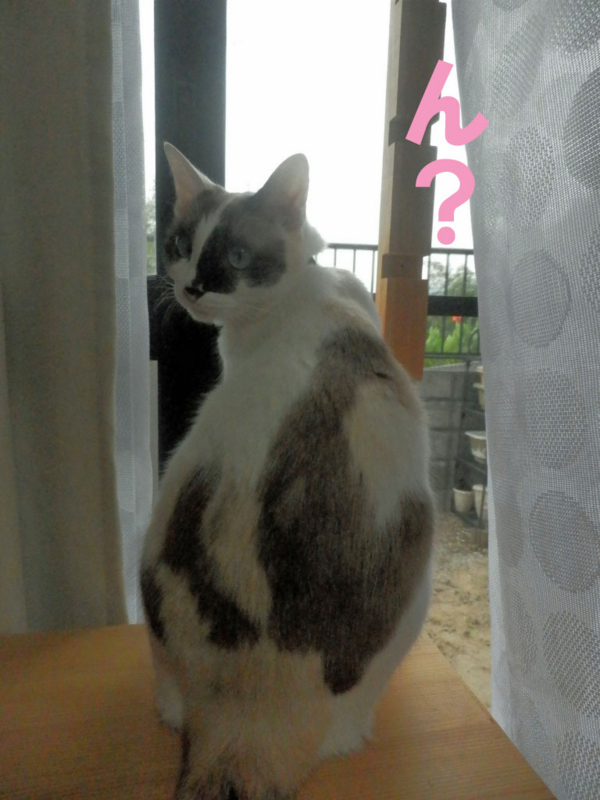 f:id:gosaku13:20141006200746j:image:w360