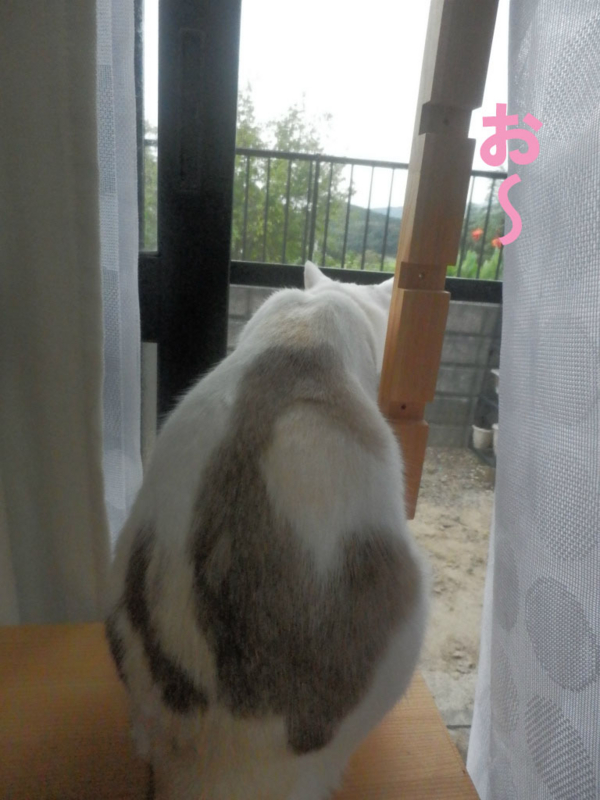 f:id:gosaku13:20141006200756j:image:w360