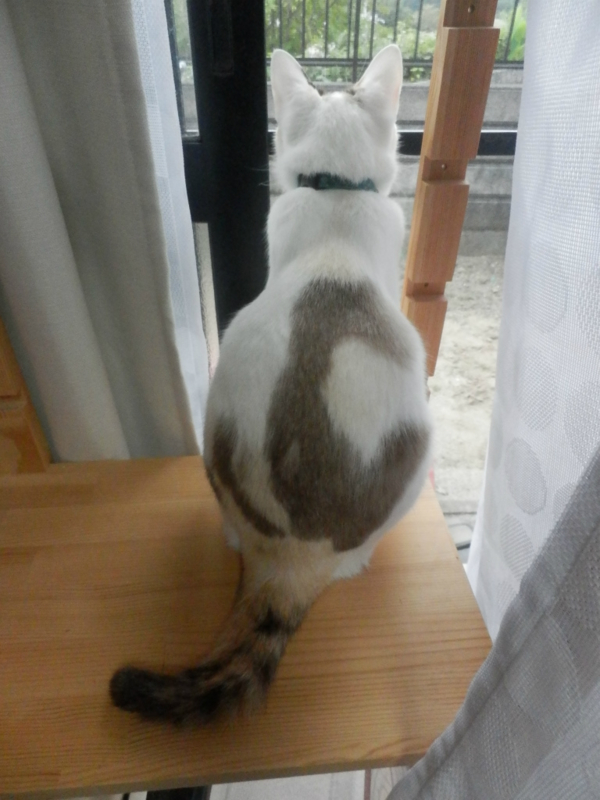 f:id:gosaku13:20141006201149j:image:w360