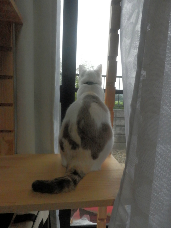 f:id:gosaku13:20141006201153j:image:w360