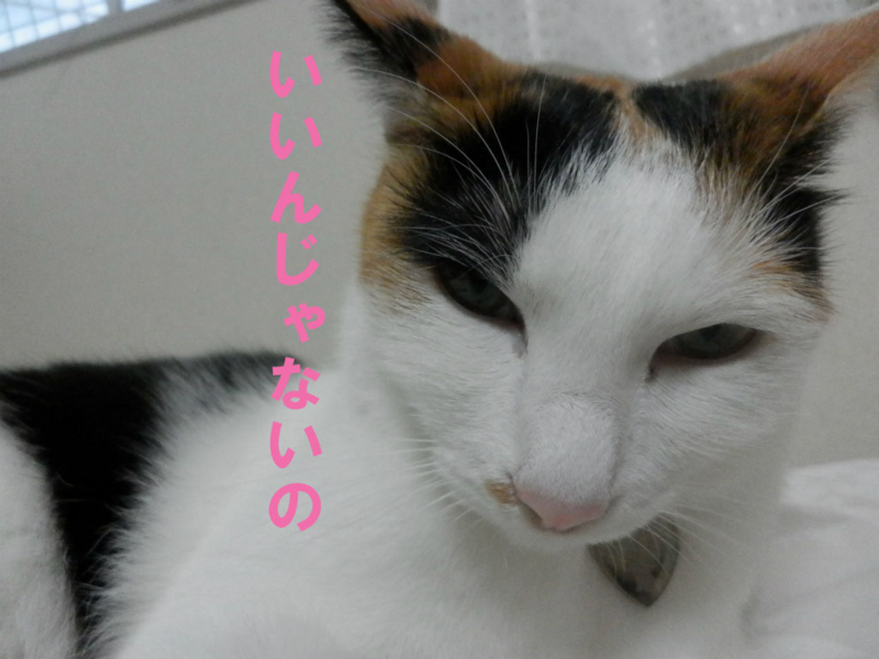 f:id:gosaku13:20141014183436j:image