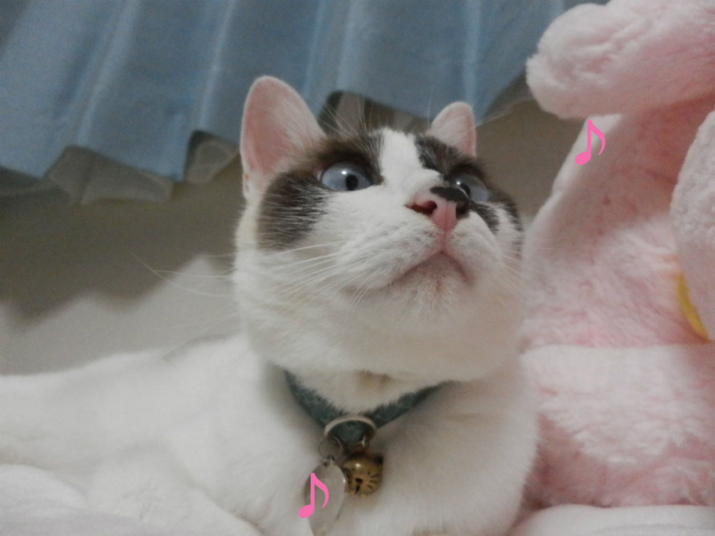 f:id:gosaku13:20141020170446j:image