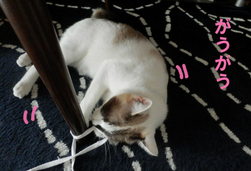 f:id:gosaku13:20141026200501j:image