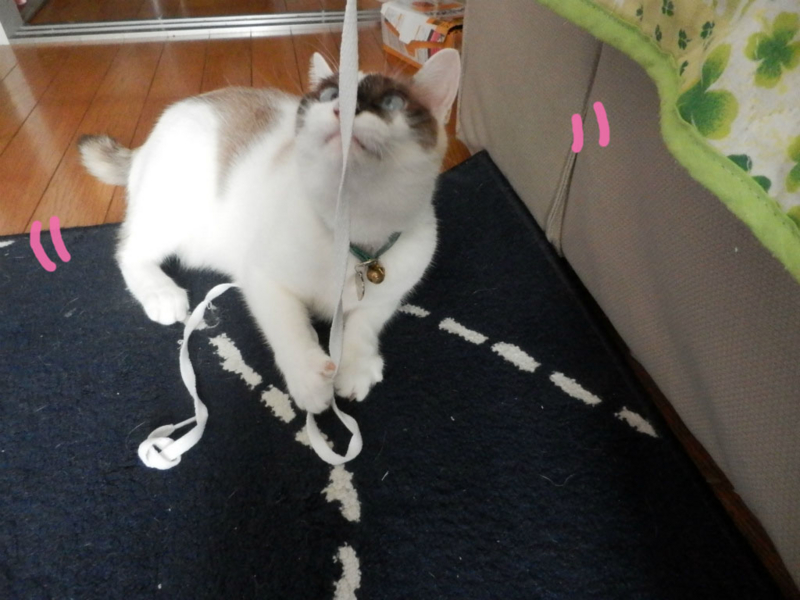 f:id:gosaku13:20141026200730j:image