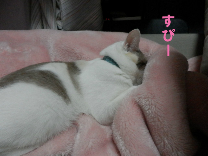 f:id:gosaku13:20141027203027j:image