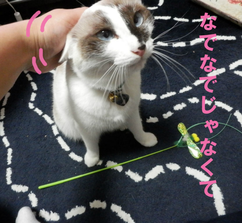 f:id:gosaku13:20141101193808j:image