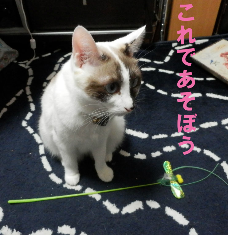 f:id:gosaku13:20141101193817j:image