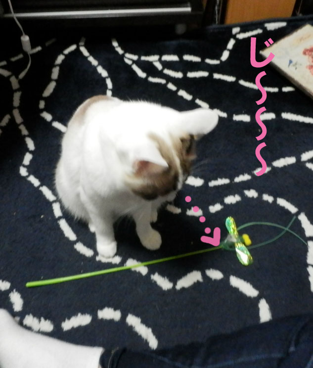 f:id:gosaku13:20141101193826j:image