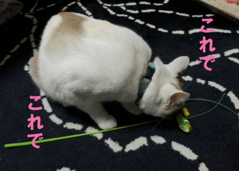 f:id:gosaku13:20141101193836j:image