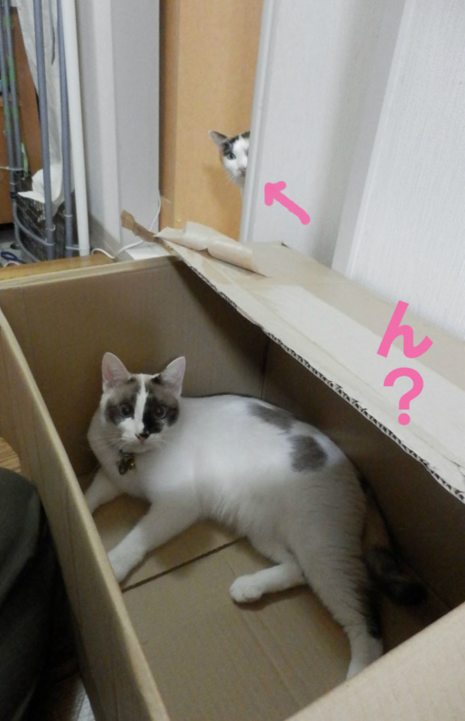 f:id:gosaku13:20141102190920j:image