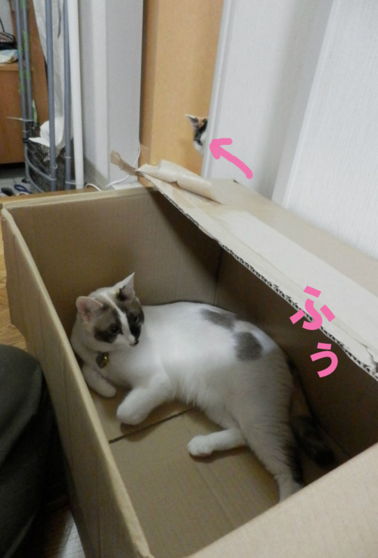 f:id:gosaku13:20141102190931j:image