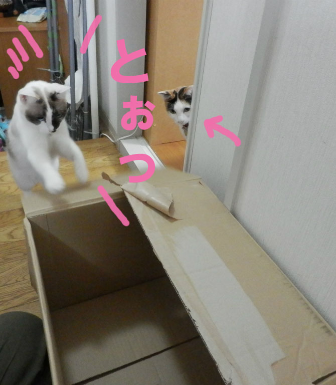 f:id:gosaku13:20141102190949j:image