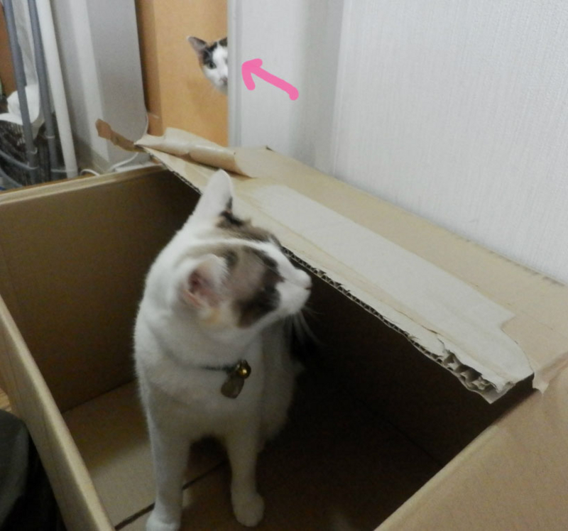 f:id:gosaku13:20141102190957j:image