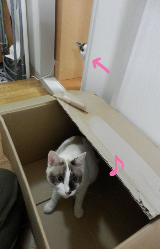 f:id:gosaku13:20141102195912j:image