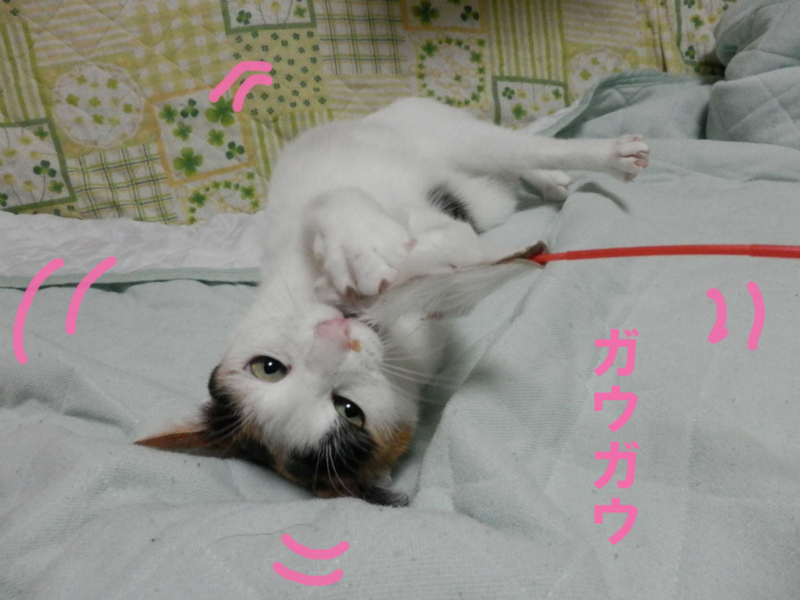 f:id:gosaku13:20141104203945j:image