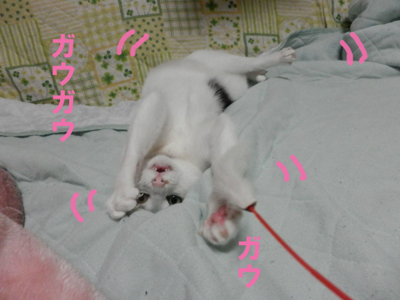 f:id:gosaku13:20141104203957j:image