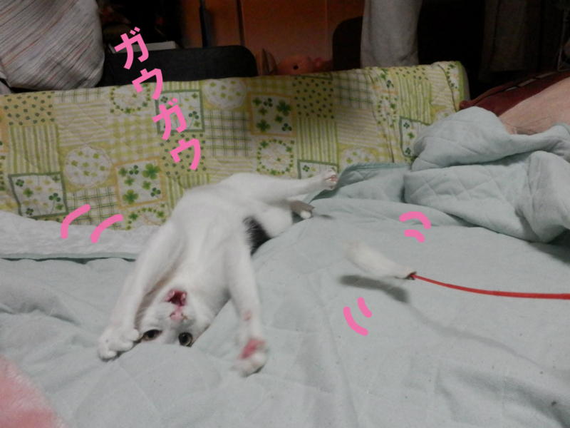 f:id:gosaku13:20141104204022j:image