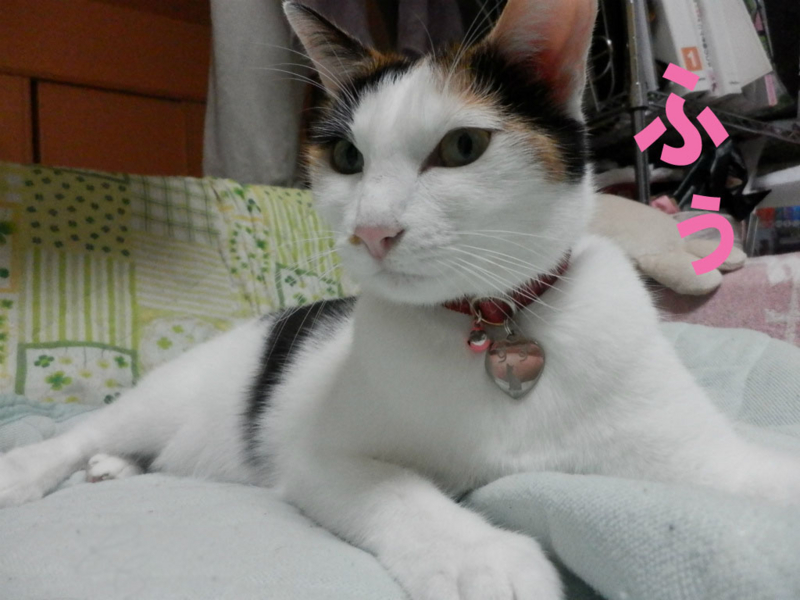 f:id:gosaku13:20141104205451j:image