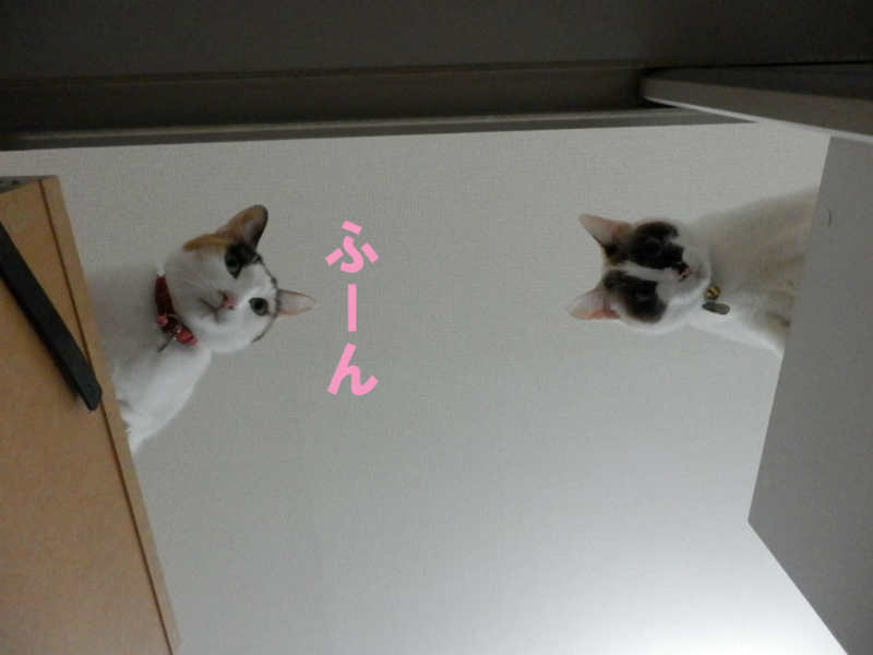 f:id:gosaku13:20150214102716j:image