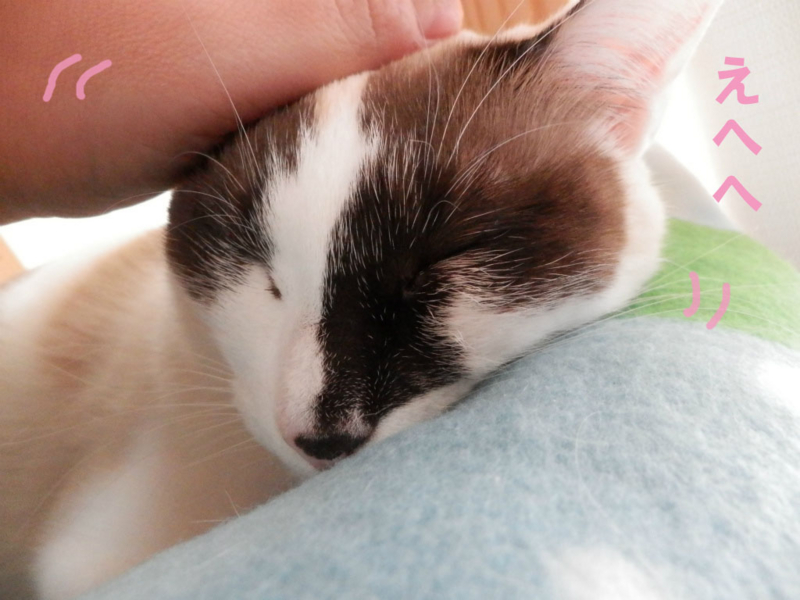 f:id:gosaku13:20150220084947j:image