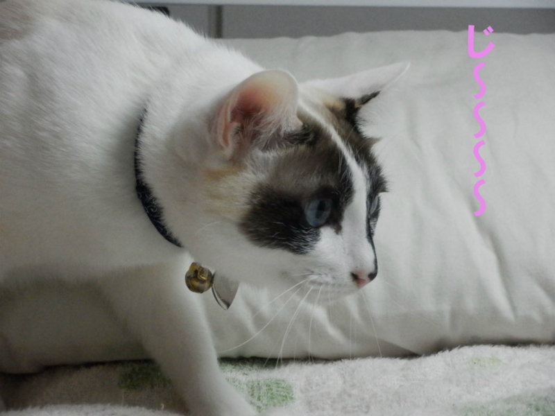 f:id:gosaku13:20150221121427j:image